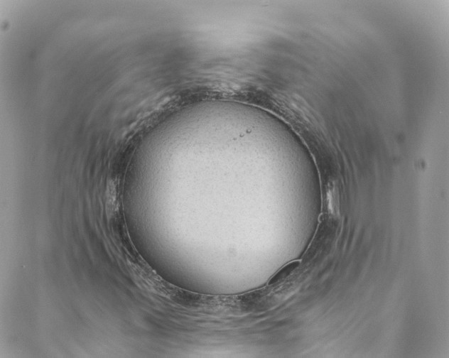 X0000088911347200706291519