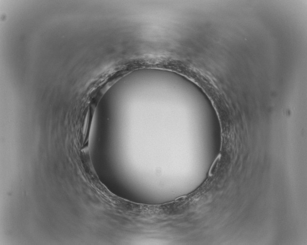 X0000088911349200706291519