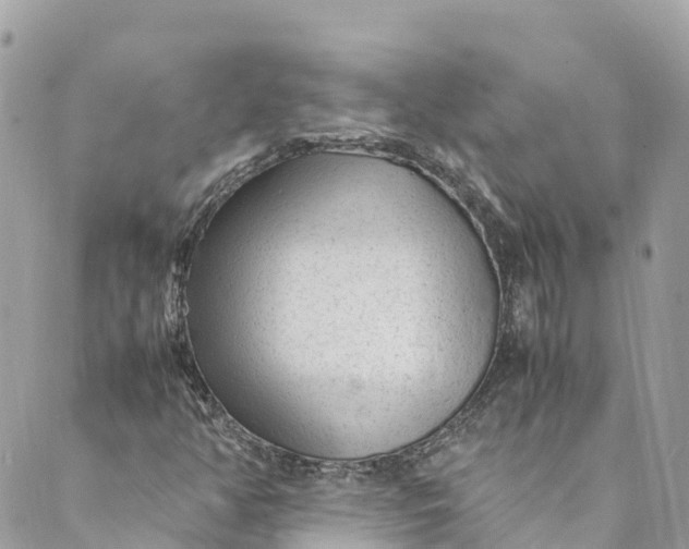 X0000088911350200706291519