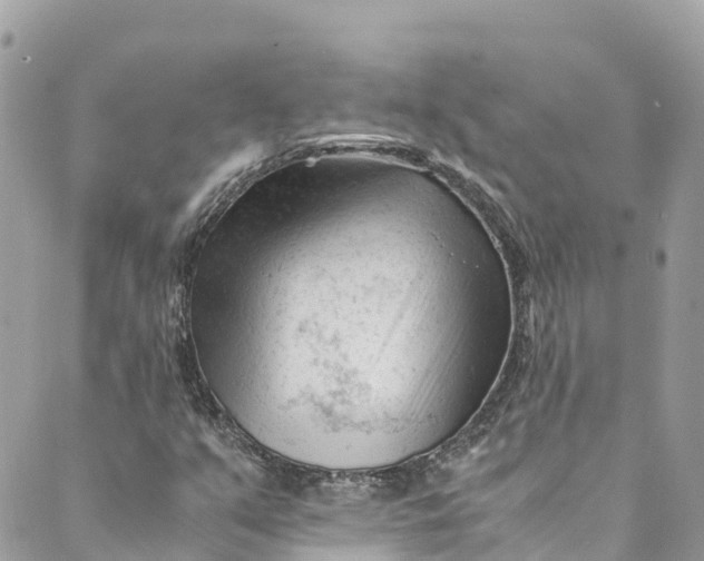 X0000088911351200706291519