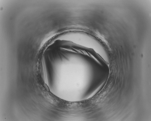 X0000088911352200706291519