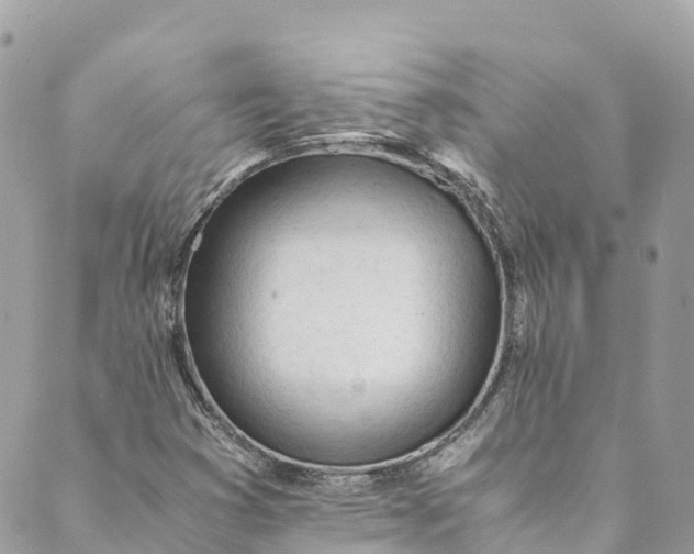 X0000088911353200706291519