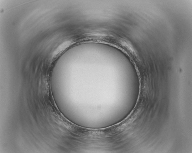 X0000088911354200706291519