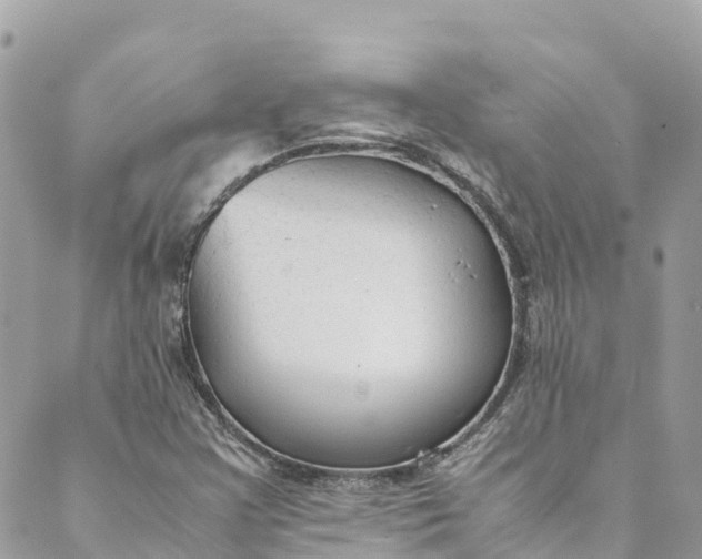 X0000088911355200706291519