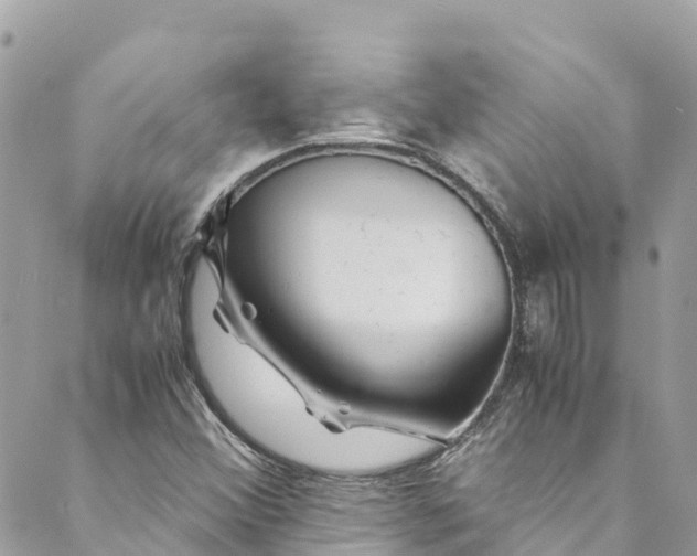 X0000088911356200706291519