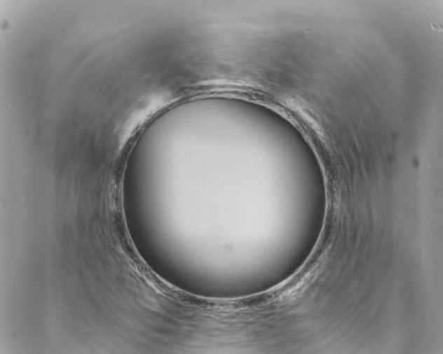 X0000088911357200706291519