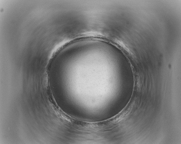 X0000088911358200706291519