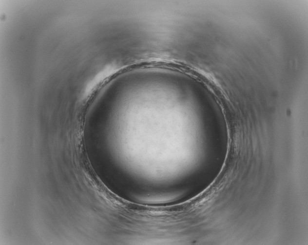 X0000088911359200706291519