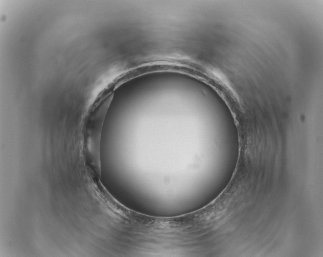 X0000088911360200706291519