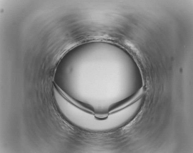 X0000088911361200706291519