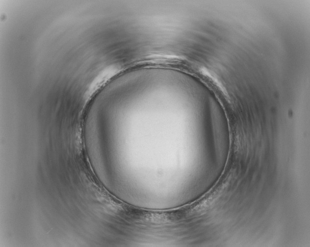 X0000088911362200706291519