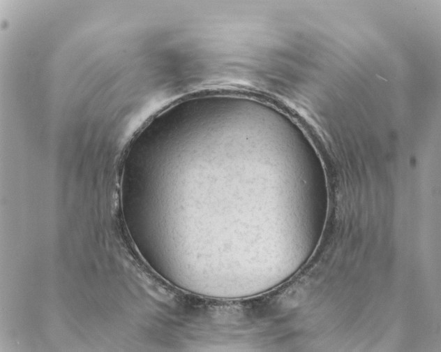 X0000088911363200706291519