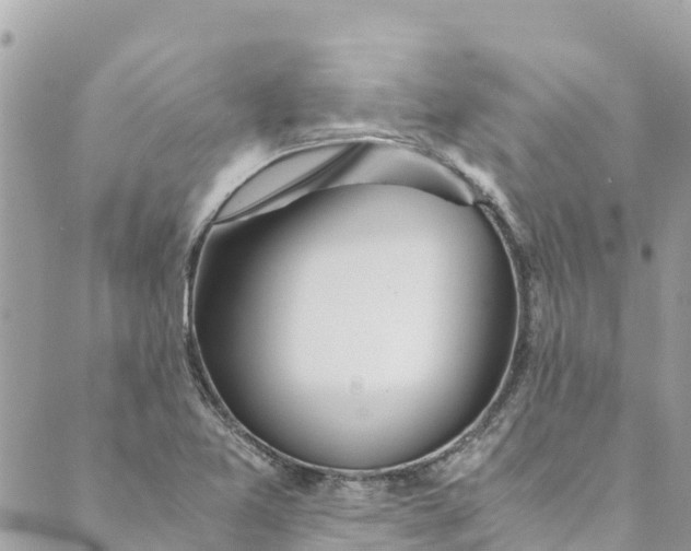 X0000088911365200706291519