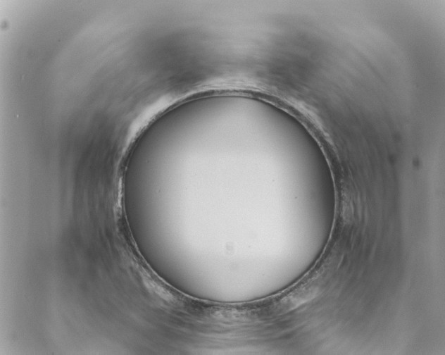 X0000088911366200706291519