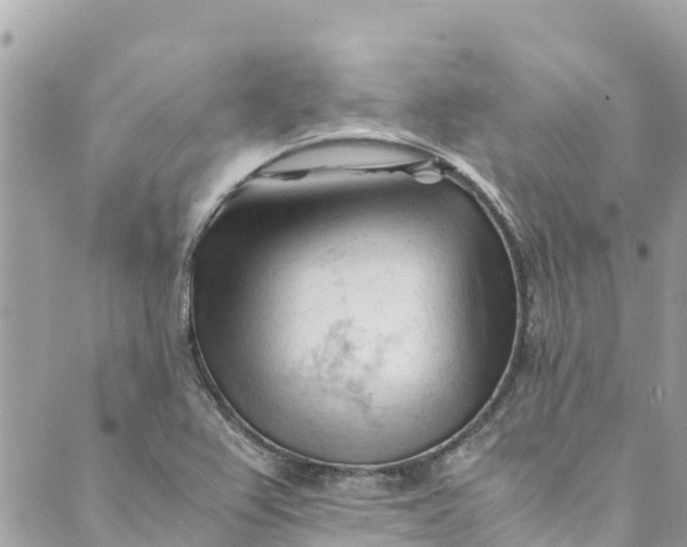 X0000088911367200706291519