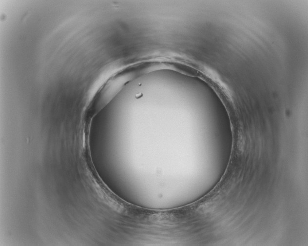 X0000088911368200706291519