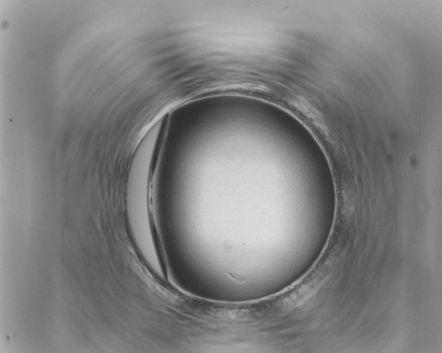 X0000088911369200706291519