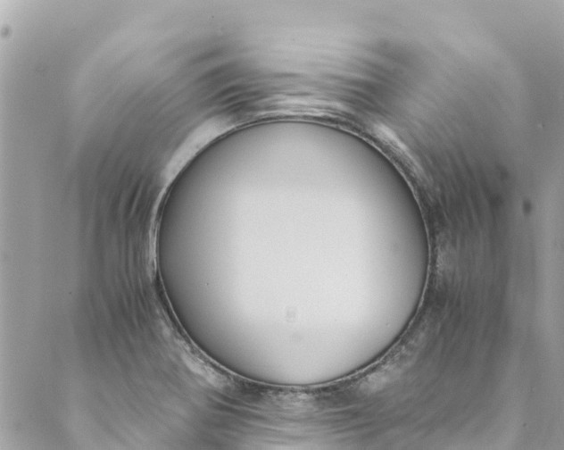 X0000088911370200706291519