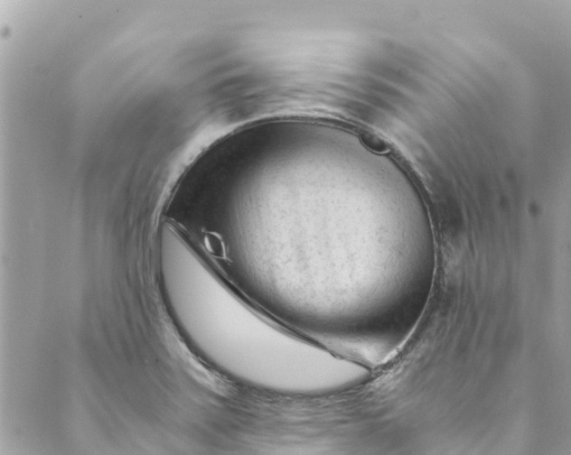 X0000088911371200706291519