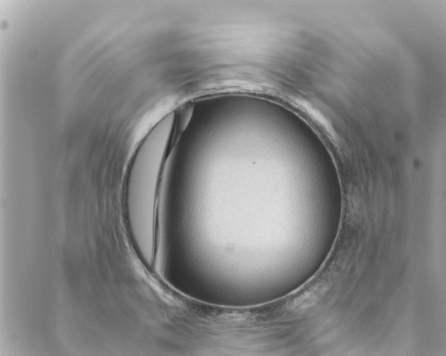 X0000088911373200706291519