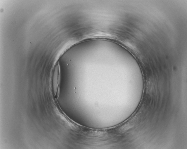 X0000088911374200706291519