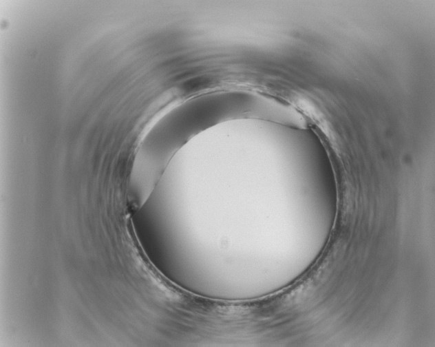 X0000088911377200706291519