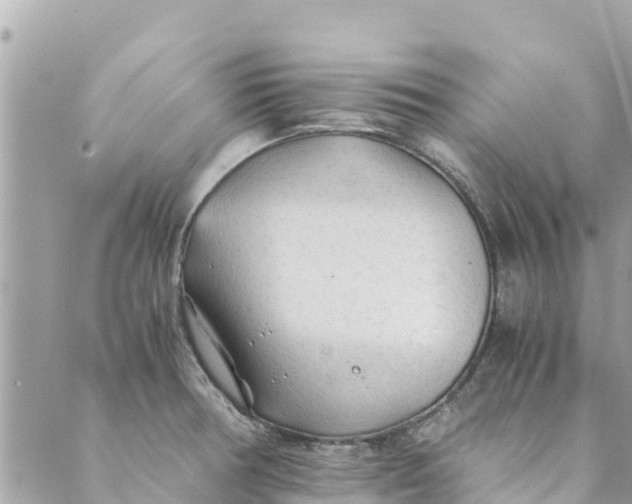 X0000088911378200706291519