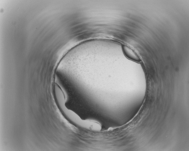 X0000088911379200706291519