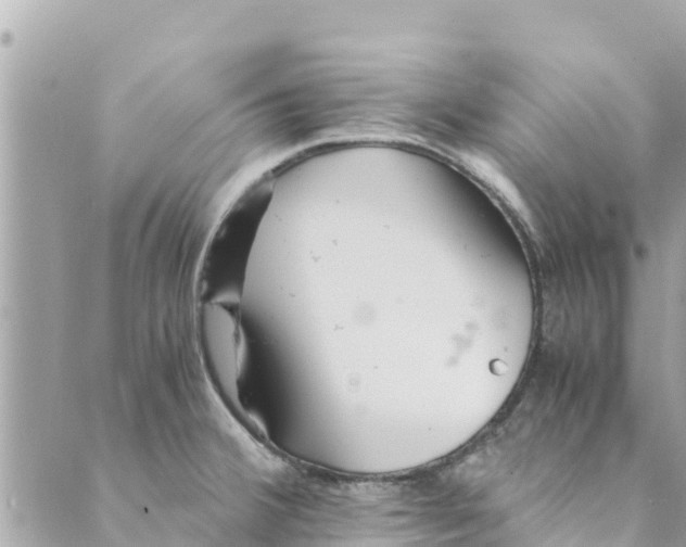 X0000088911380200706291519