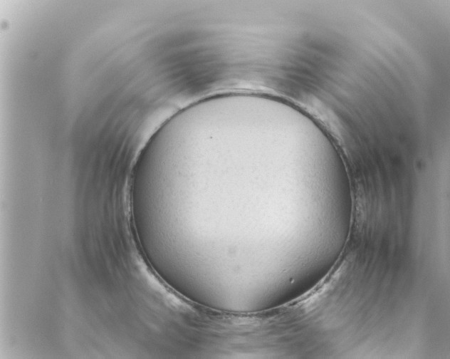 X0000088911382200706291519