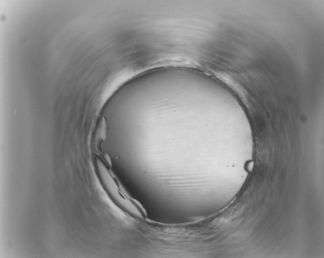 X0000088911383200706291518