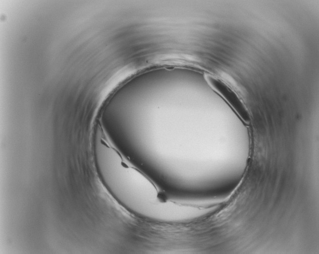 X0000088911384200706291518