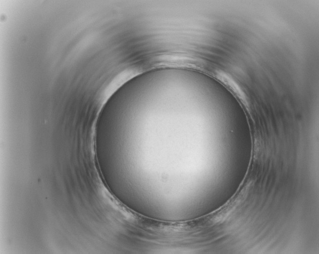 X0000088911386200706291518