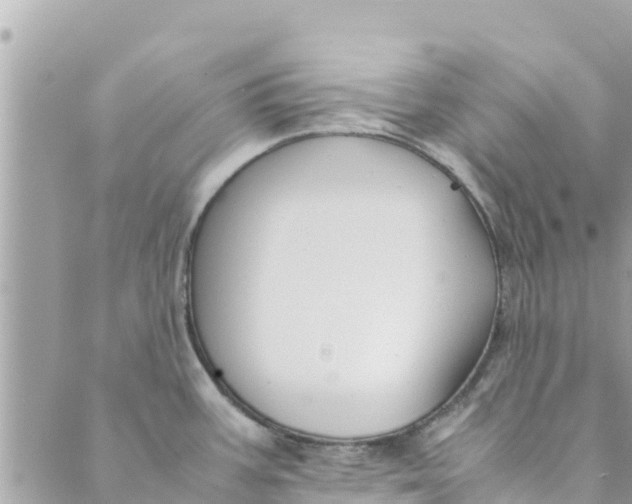 X0000088911387200706291518