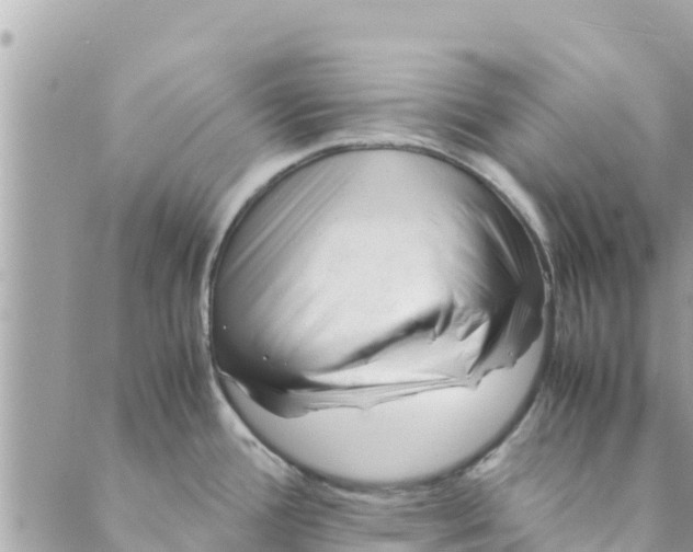 X0000088911388200706291518