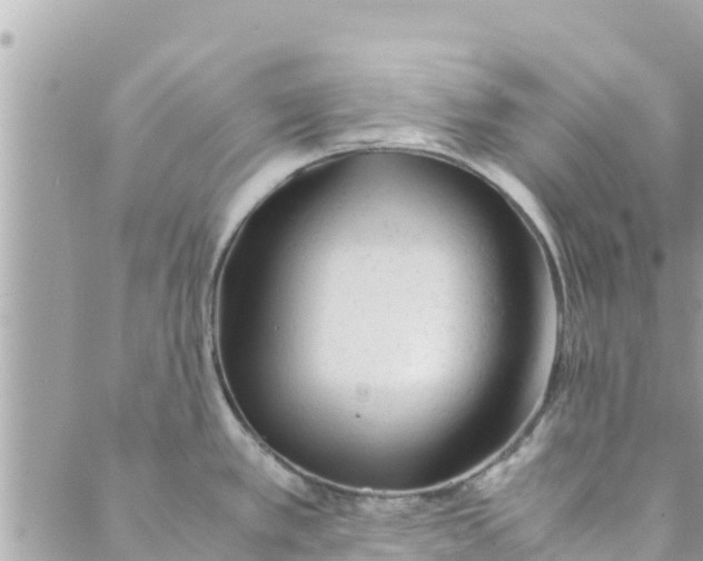 X0000088911389200706291518