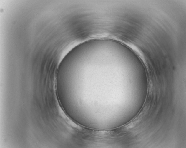 X0000088911390200706291518