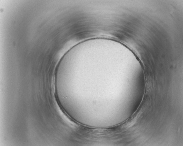 X0000088911391200706291518