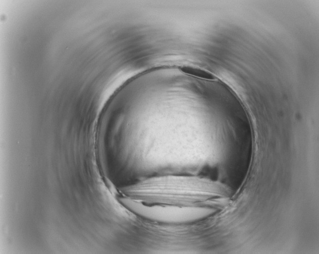 X0000088911392200706291518