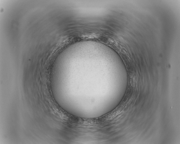 X0000088911393200706291518