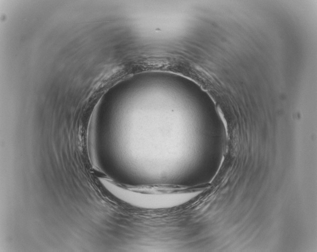 X0000088911394200706291518