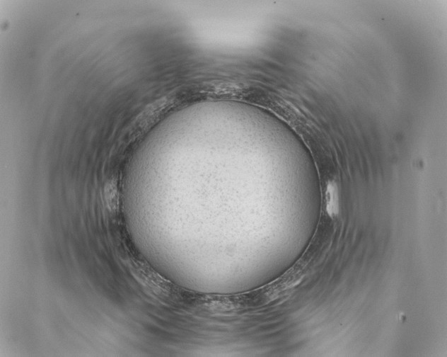 X0000088911395200706291518