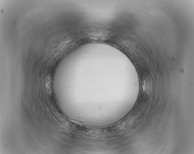 X0000088911396200706291518