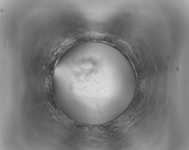 X0000088911397200706291518