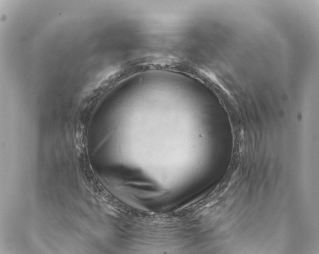 X0000088911399200706291518