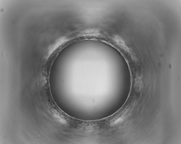 X0000088911400200706291518