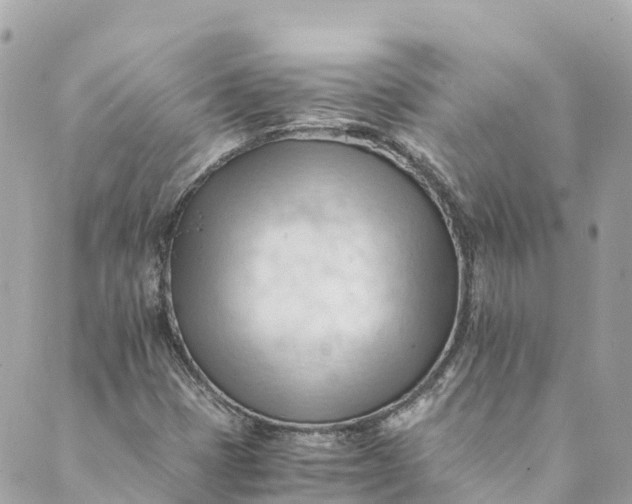 X0000088911401200706291518