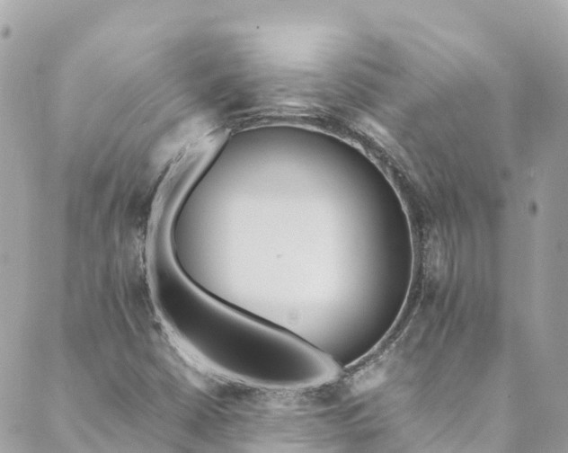 X0000088911402200706291518