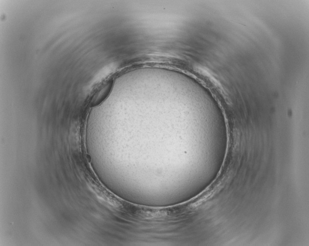 X0000088911403200706291518