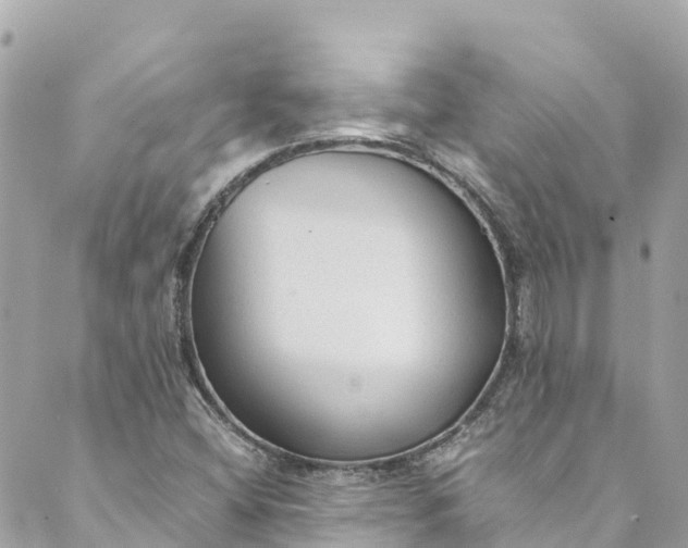 X0000088911404200706291518